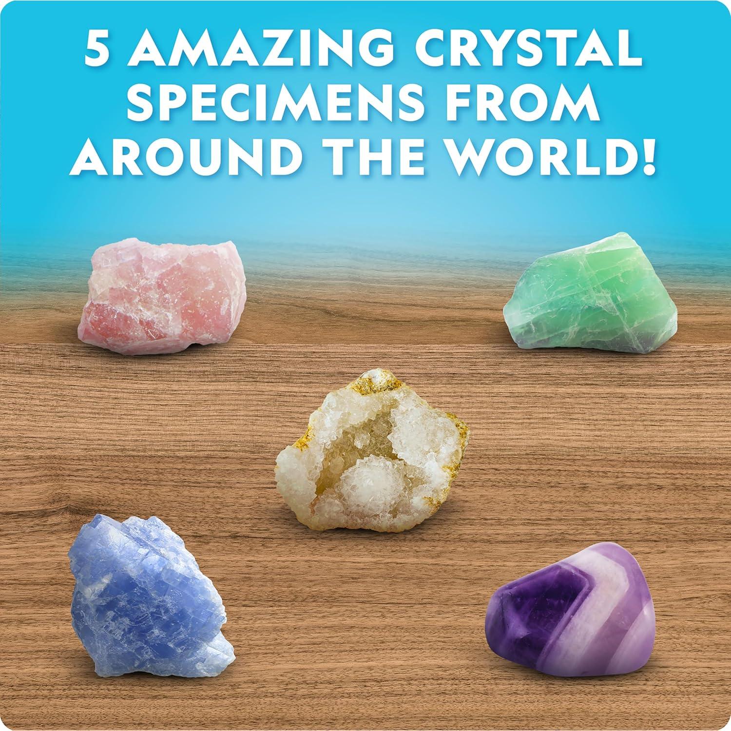 National Geographic Mega Crystal Growing Kit for Kids- Grow 6 Crystals with Light-Up Stand, Science Gifts for Kids 8-12, Crystal Making Experiment, Science Kit for Girls and Boys (Amazon Exclusive)(8 Crystal Lab)