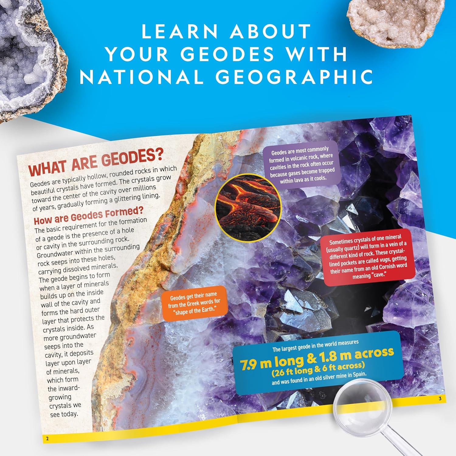 National Geographic Break Open 5 Jumbo Geodes – Earth Science Kit with 5 Premium, Extra-Large Geodes with Crystals, Goggles & Display Stands, Science Gifts, Fun Stuff for Kids (Amazon Exclusive)(5 Jumbo Geodes Kit)