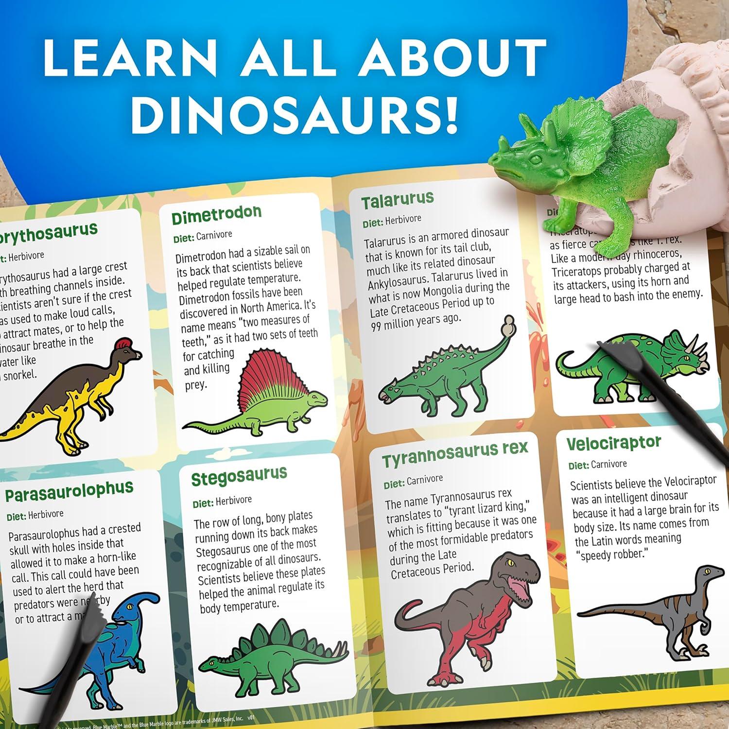 National Geographic Dinosaur Dig Kit – 12 Dino Shaped Dig Bricks with Dinosaur Figures Inside & Excavation Tool Sets, Egg Hunt or Dig Party Activity, Great STEM Toy for Boys & Girls(12 Dino-shaped Dig Bricks)
