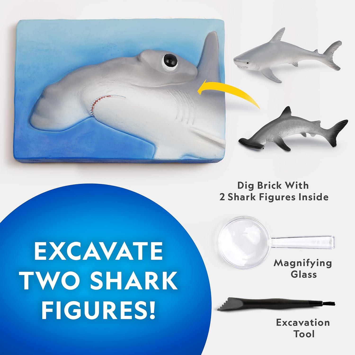 NATIONAL GEOGRAPHIC Dino Fossil Dig Kit & Dinosaur Book for Kids- Excavate a Replica Dinosaur Tooth Fossil and Study Paleontology with a Full-Color Dinosaur Activity Book for Kids (Amazon Exclusive)(Shark Dig Kit)