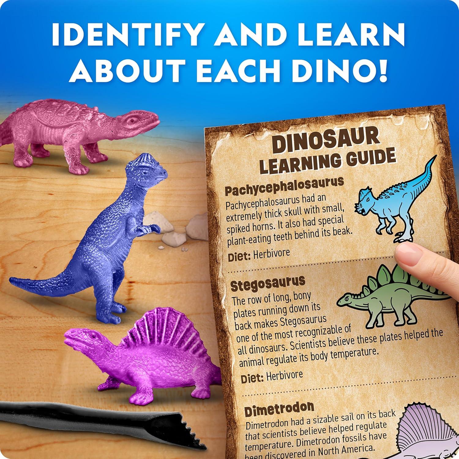 National Geographic Dinosaur Dig Kit – 12 Dino Shaped Dig Bricks with Dinosaur Figures Inside & Excavation Tool Sets, Egg Hunt or Dig Party Activity, Great STEM Toy for Boys & Girls(30 Individual Dig Bricks)