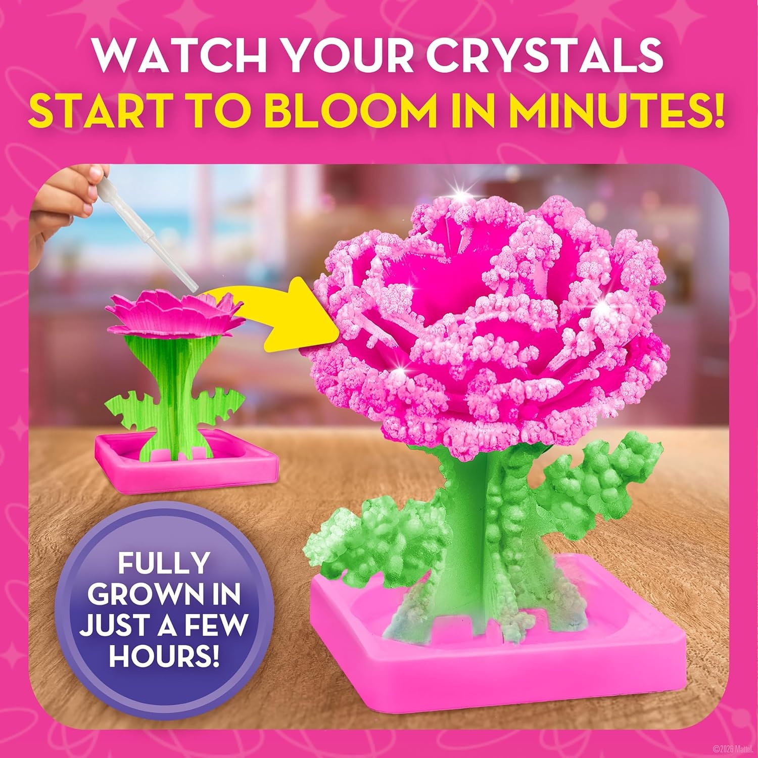 Barbie Crystal Growing Flower Garden Science Kit for Kids Ages 8-12