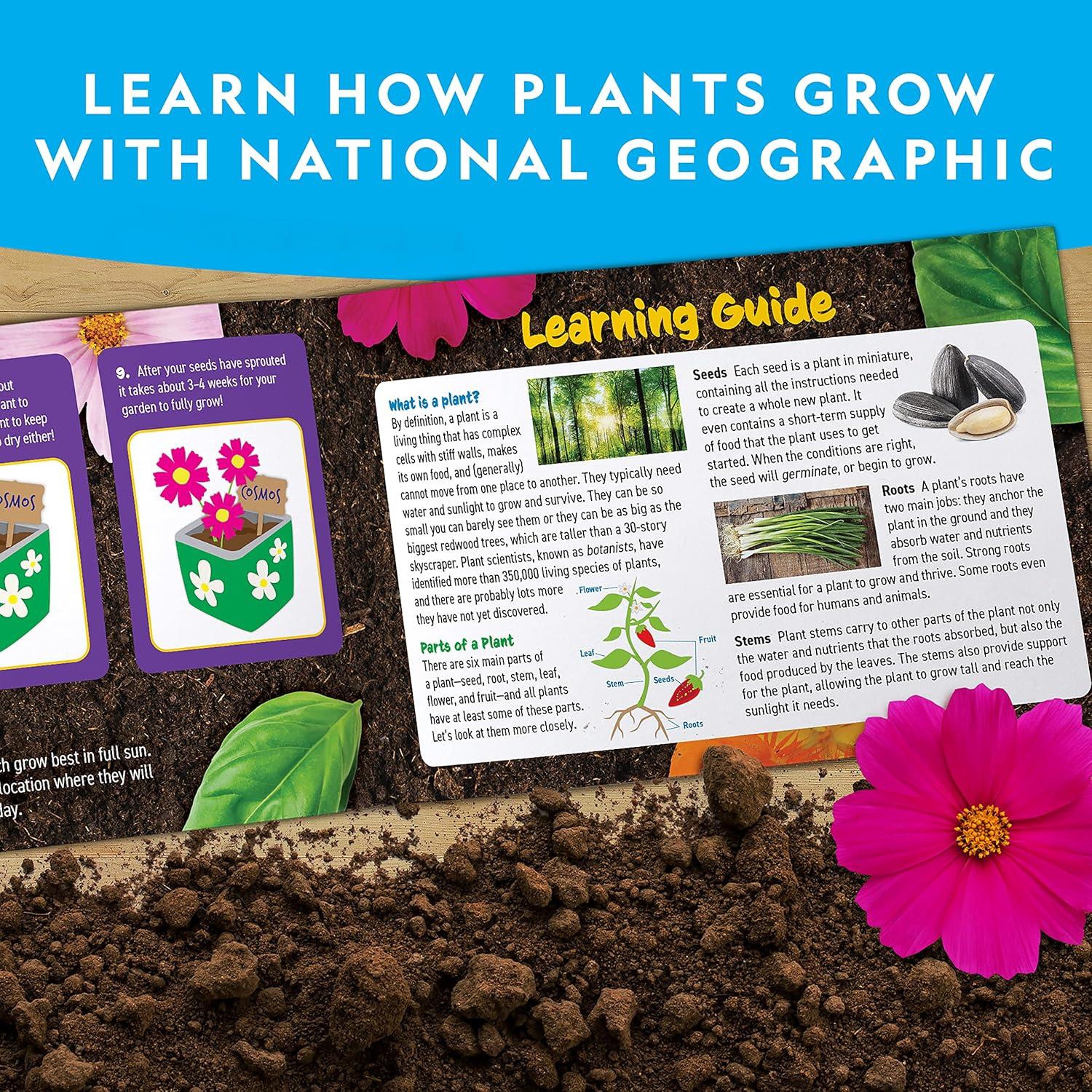 National Geographic Flower & Herb Gardening Kit for Kids – Gardening Set with 3 Stainless Steel Pots, Paint & Stickers, Kids Plant Growing Kit