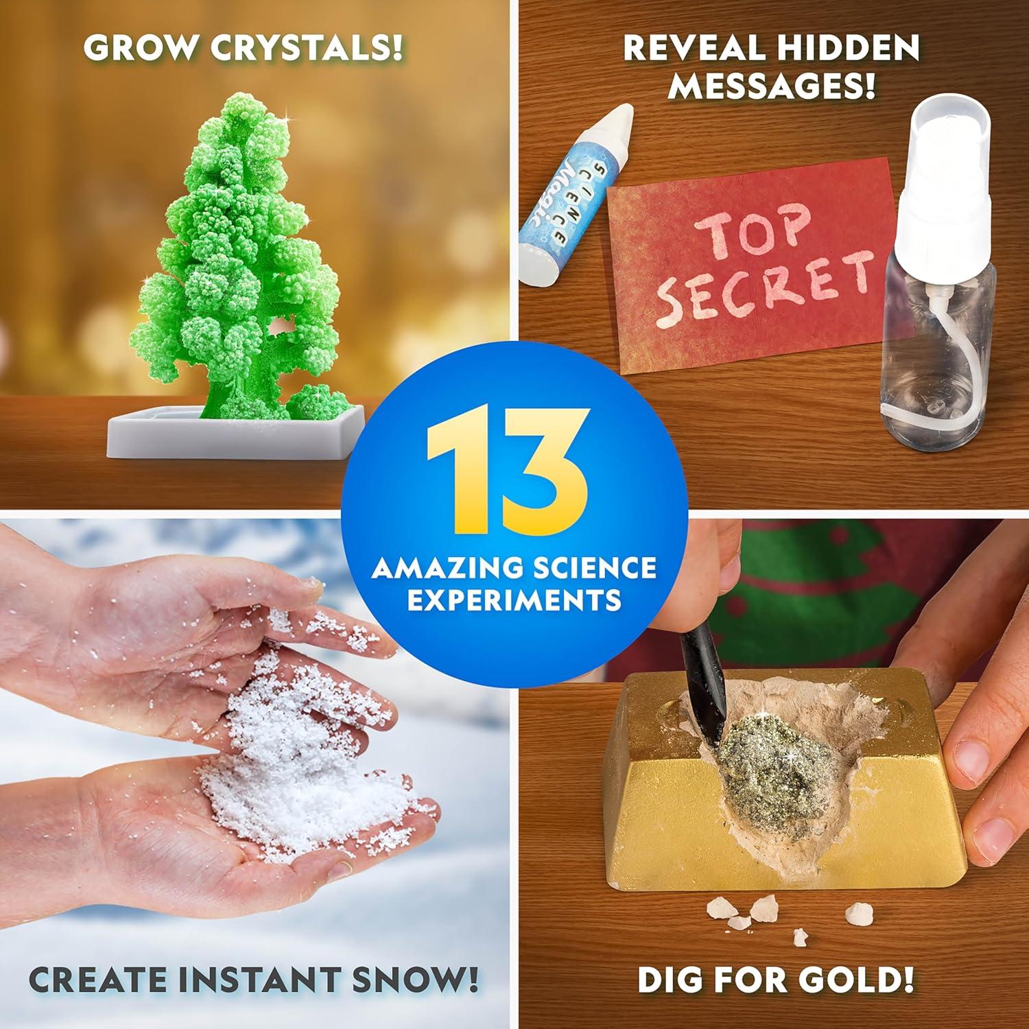 Blue Marble 2026 Glow In The Dark Advent Calendar – Countdown Calendar with 24 Science Activities, Experiments & Animal Figures | Fun & Educational Kids Advent Calendar(Experiments & Specimens)