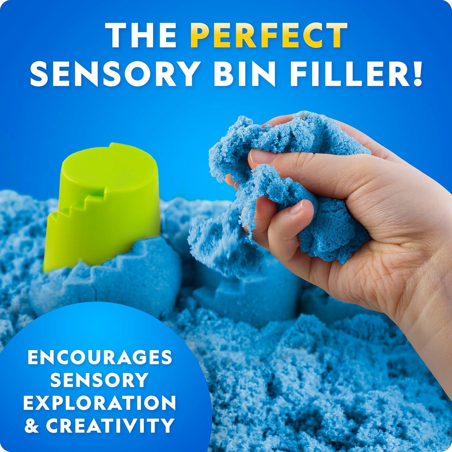 National Geographic Moon Sand – 24 Lb. Bulk Play Sand Kit with 6 Castle Molds (Blue) – A Fun No Mess Sensory Activity, Kids Fake Sand Play Set, Sensory Bin Filler(24 LB Blue)