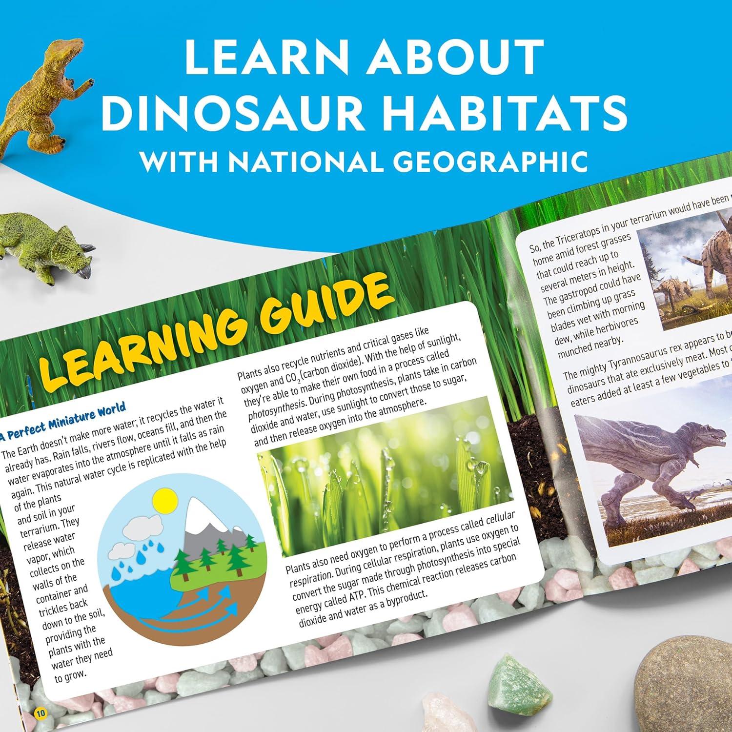 National Geographic Light Up Terrarium Kit for Kids – Build a Dinosaur Habitat with Real Plants & Gemstones, Science Kit, Dinosaur Toys for Kids (Amazon Exclusive)(Dino Habitat)