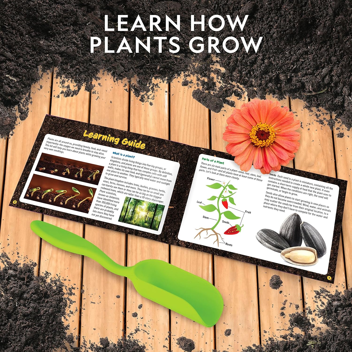 National Geographic Herb Growing Kit – Decorate 3 Pots with Paint and Stickers, Kids Gardening Set, Arts and Crafts for Kids Ages 8-12, Garden Kit, Outdoor Toys