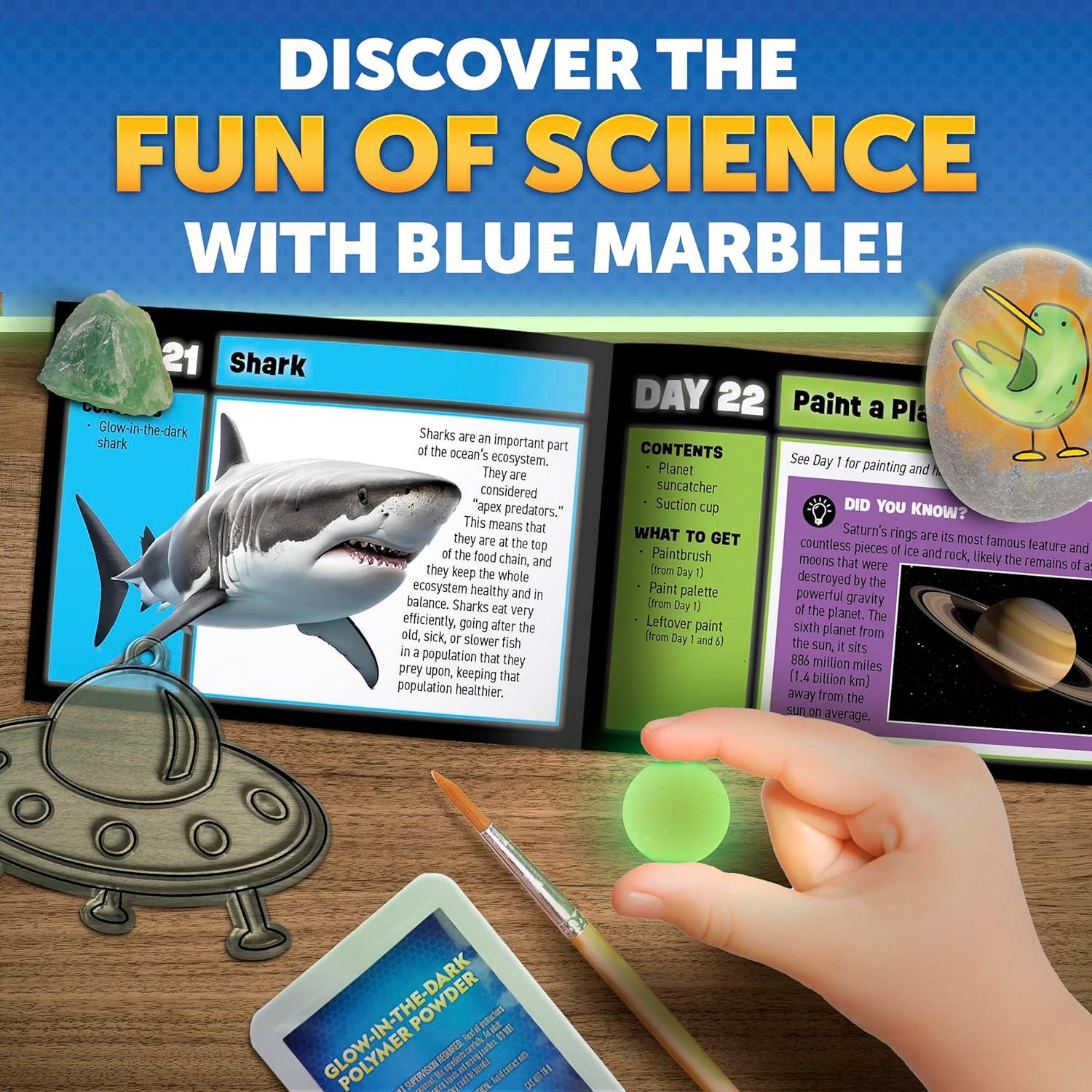 Blue Marble 2026 Glow In The Dark Advent Calendar – Countdown Calendar with 24 Science Activities, Experiments & Animal Figures | Fun & Educational Kids Advent Calendar(Glow-in-the-Dark Activities)