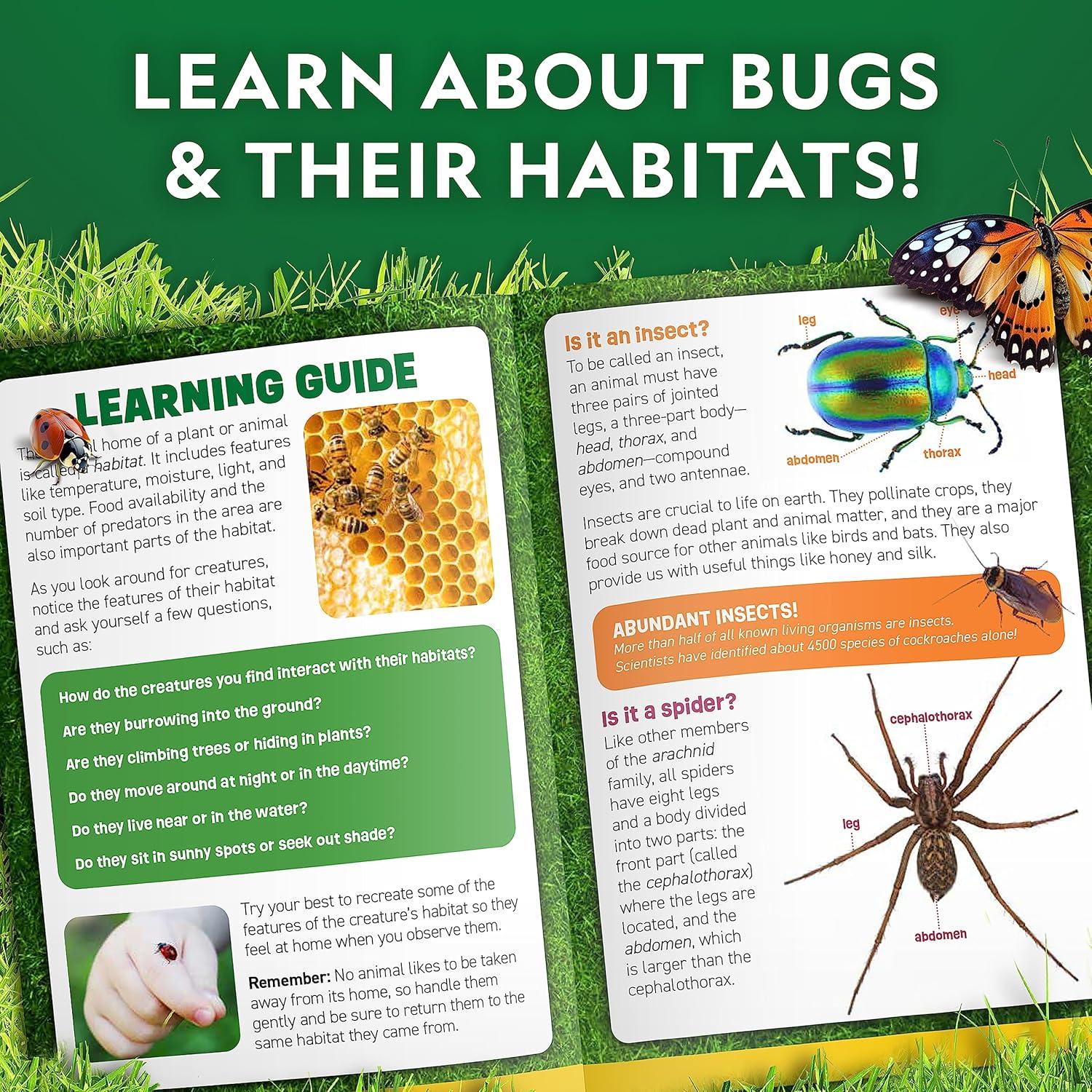 National Geographic Butterfly Growing & Bug Catcher Kit – Butterfly Habitat Kit with Voucher for 5 Caterpillars (S&H Not Included) & Bug Habitat with Magnified Viewers, Bug Catcher & More(Bug Catcher Kit)