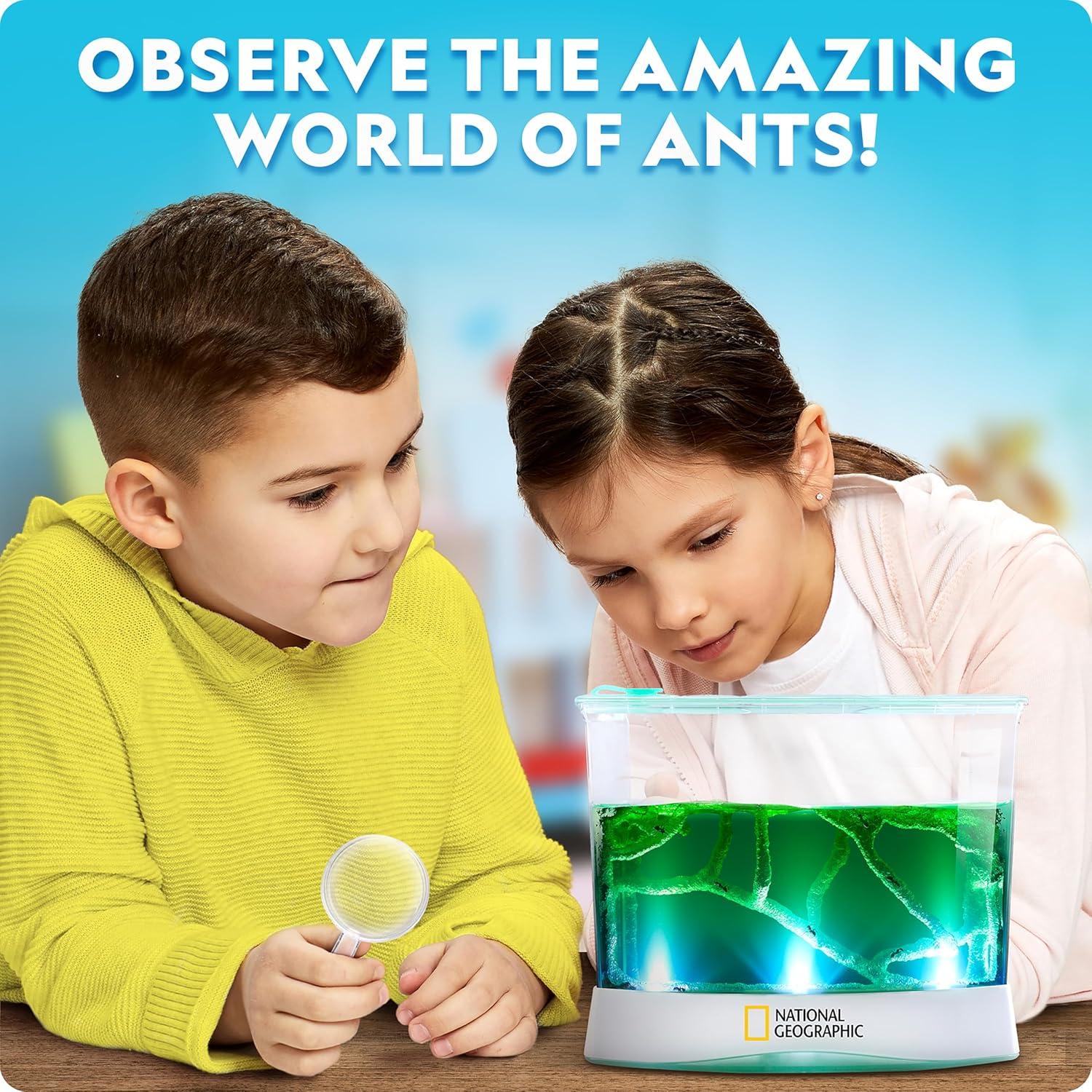 National Geographic Butterfly Growing Kit – Butterfly Habitat Kit with Voucher to Redeem 5 Caterpillars (S&H Not Included), Butterfly Cage, Feeder (Amazon Exclusive)(Ant Habitat)