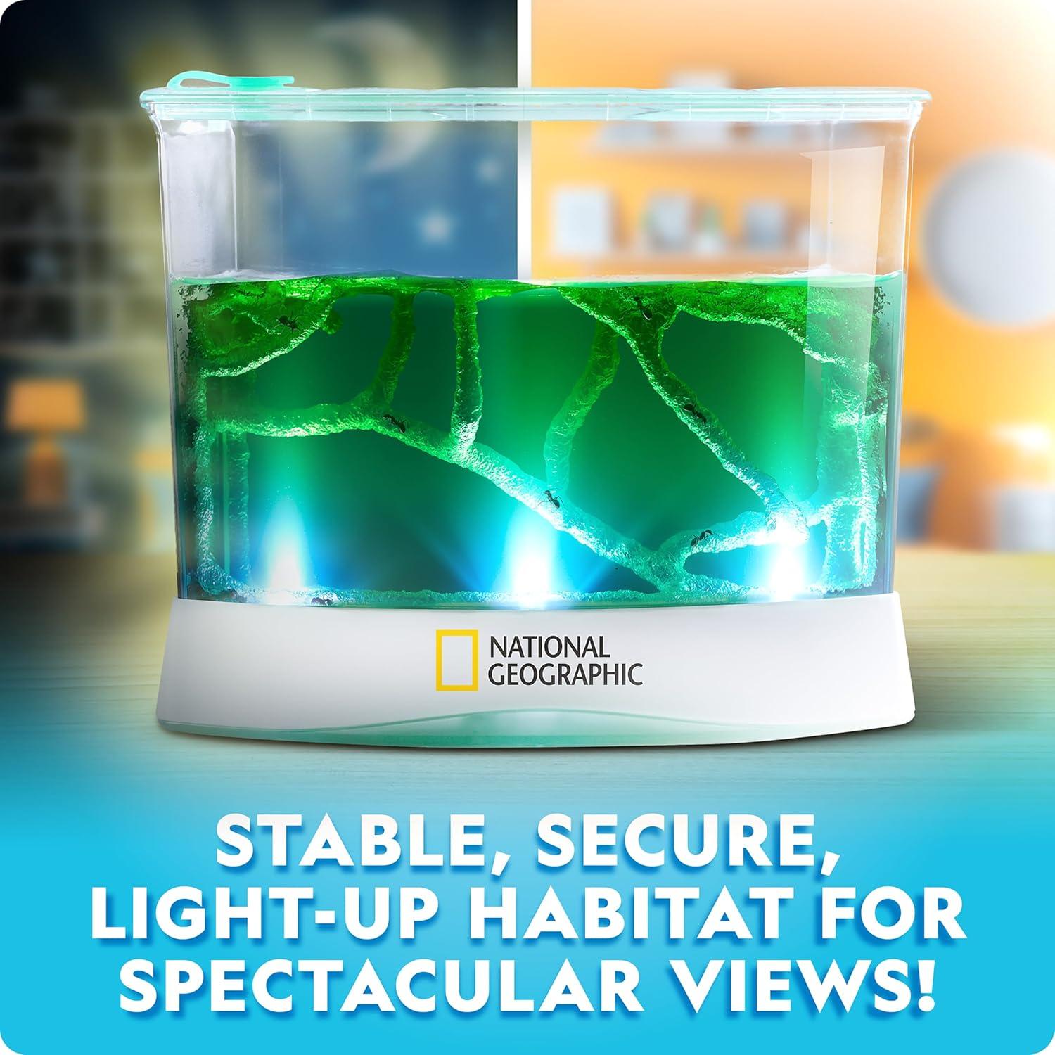 National Geographic Butterfly Growing Kit – Butterfly Habitat Kit with Voucher to Redeem 5 Caterpillars (S&H Not Included), Butterfly Cage, Feeder (Amazon Exclusive)(Ant Habitat)