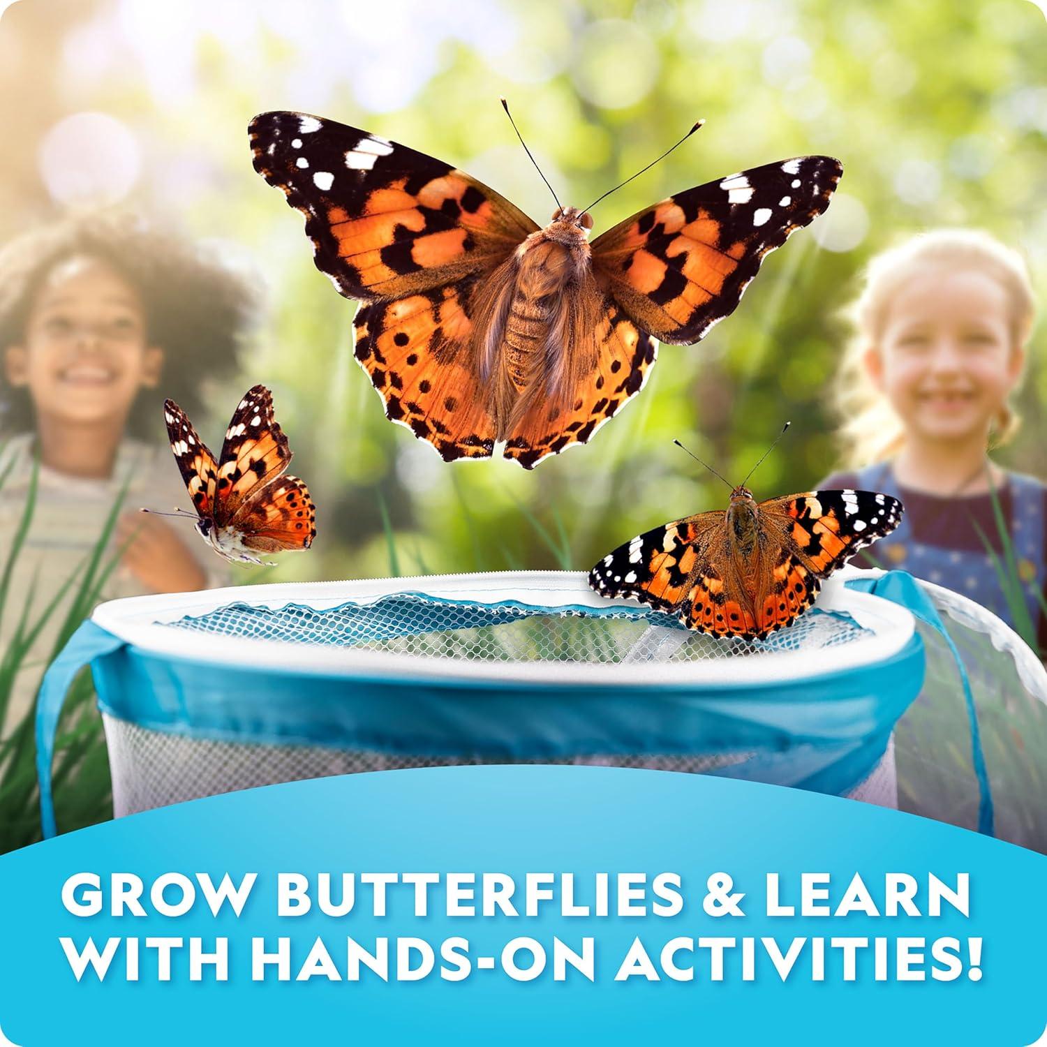 National Geographic Butterfly Growing Kit – Butterfly Habitat Kit with Voucher to Redeem 5 Caterpillars (S&H Not Included), Butterfly Cage, Feeder (Amazon Exclusive)(Ultimate Butterfly Kit)