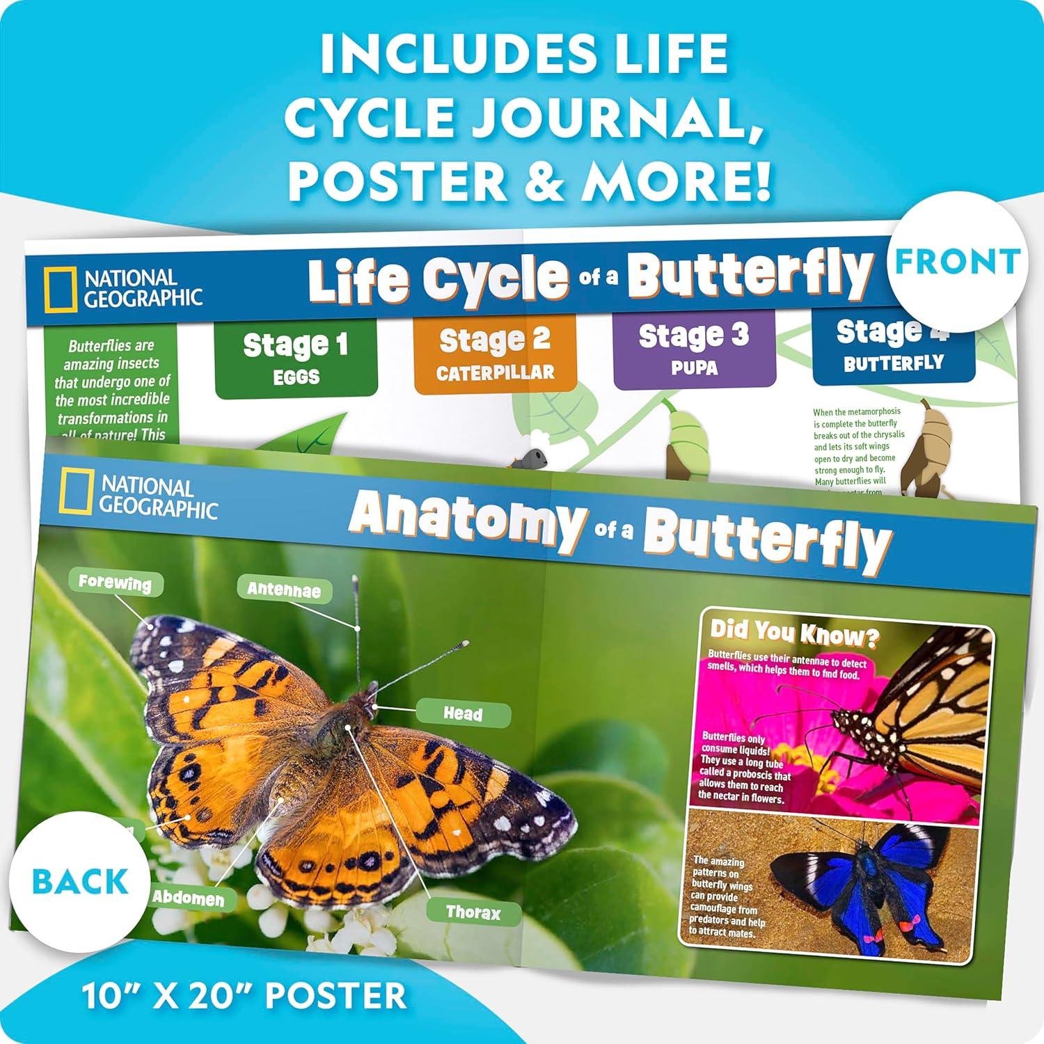 National Geographic Butterfly Growing Kit – Butterfly Habitat Kit with Voucher to Redeem 5 Caterpillars (S&H Not Included), Butterfly Cage, Feeder (Amazon Exclusive)(Ultimate Butterfly Kit)