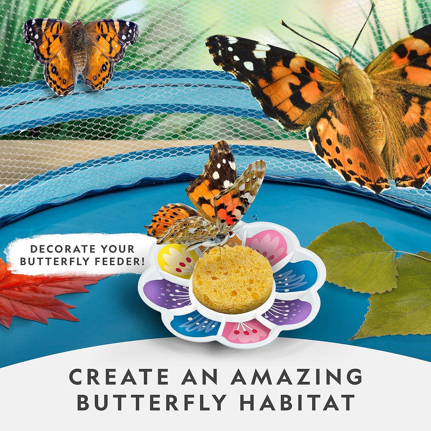 National Geographic Butterfly Growing Kit – Butterfly Habitat Kit with Voucher to Redeem 5 Caterpillars (S&H Not Included), Butterfly Cage, Feeder (Amazon Exclusive)(Starter Butterfly Kit)