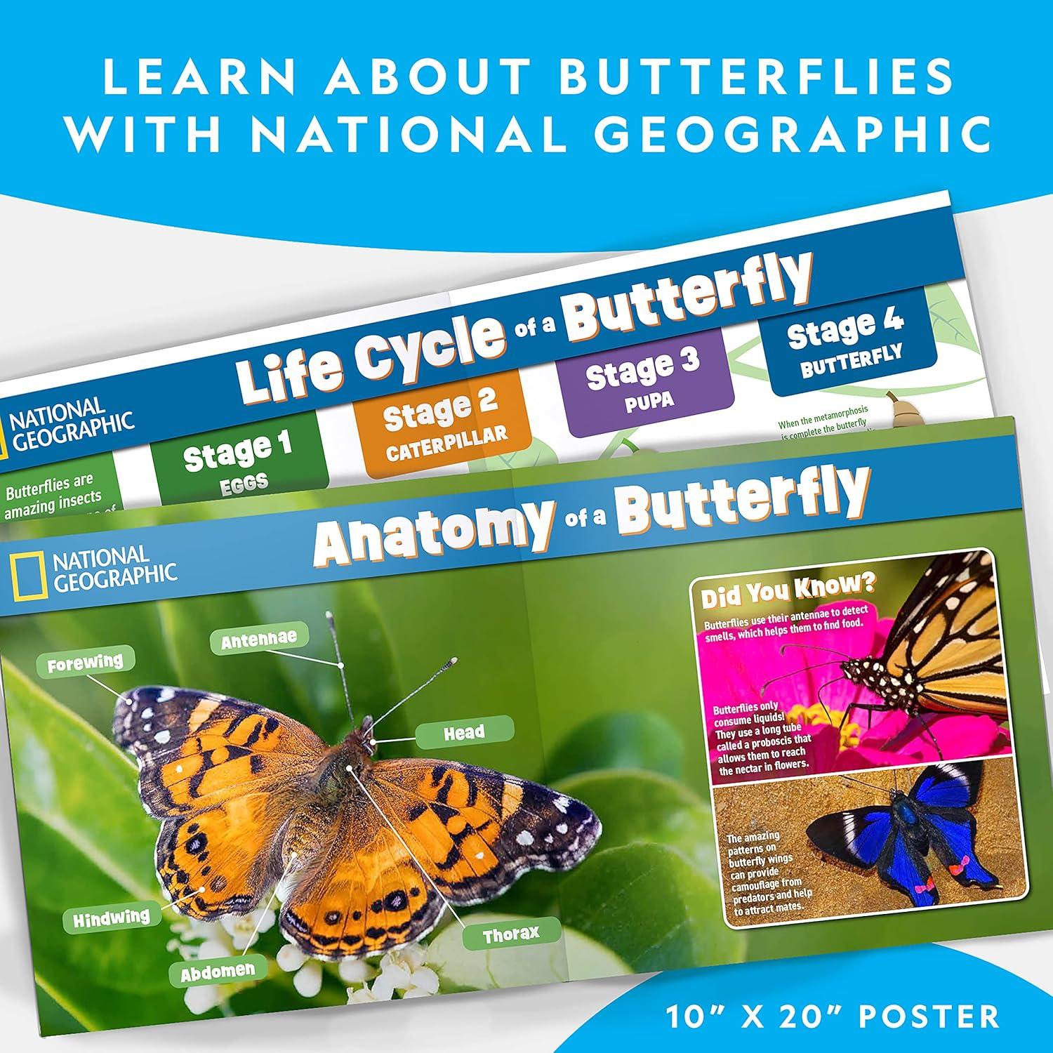 National Geographic Butterfly Growing Kit – Butterfly Habitat Kit with Voucher to Redeem 5 Caterpillars (S&H Not Included), Butterfly Cage, Feeder (Amazon Exclusive)(Starter Butterfly Kit)