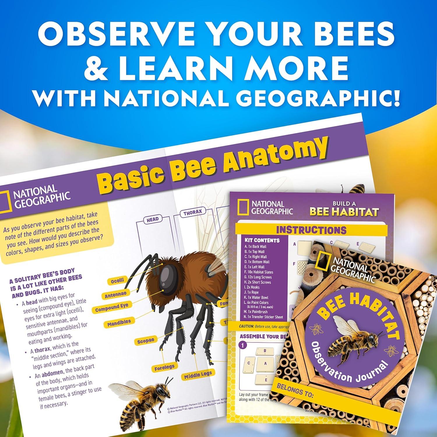 National Geographic Build a Bee Habitat Craft Kit for Kids – Paint & Build a House for Mason Bees, Outdoor Arts & Crafts, Nature Learning Activity, DIY Pollinator Garden Craft, Solitary Bee Hotel(DIY Bee Habitat)
