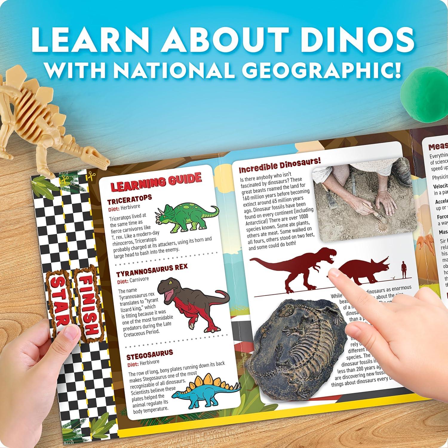 National Geographic Glow-in-The-Dark Dinosaur Skeleton Model Building Kit – Build Replica Velociraptor & T. rex Bones, Educational Dinosaur Egg Activity Kit, Fossils for Kids 5-7(Dino Activity Kit)