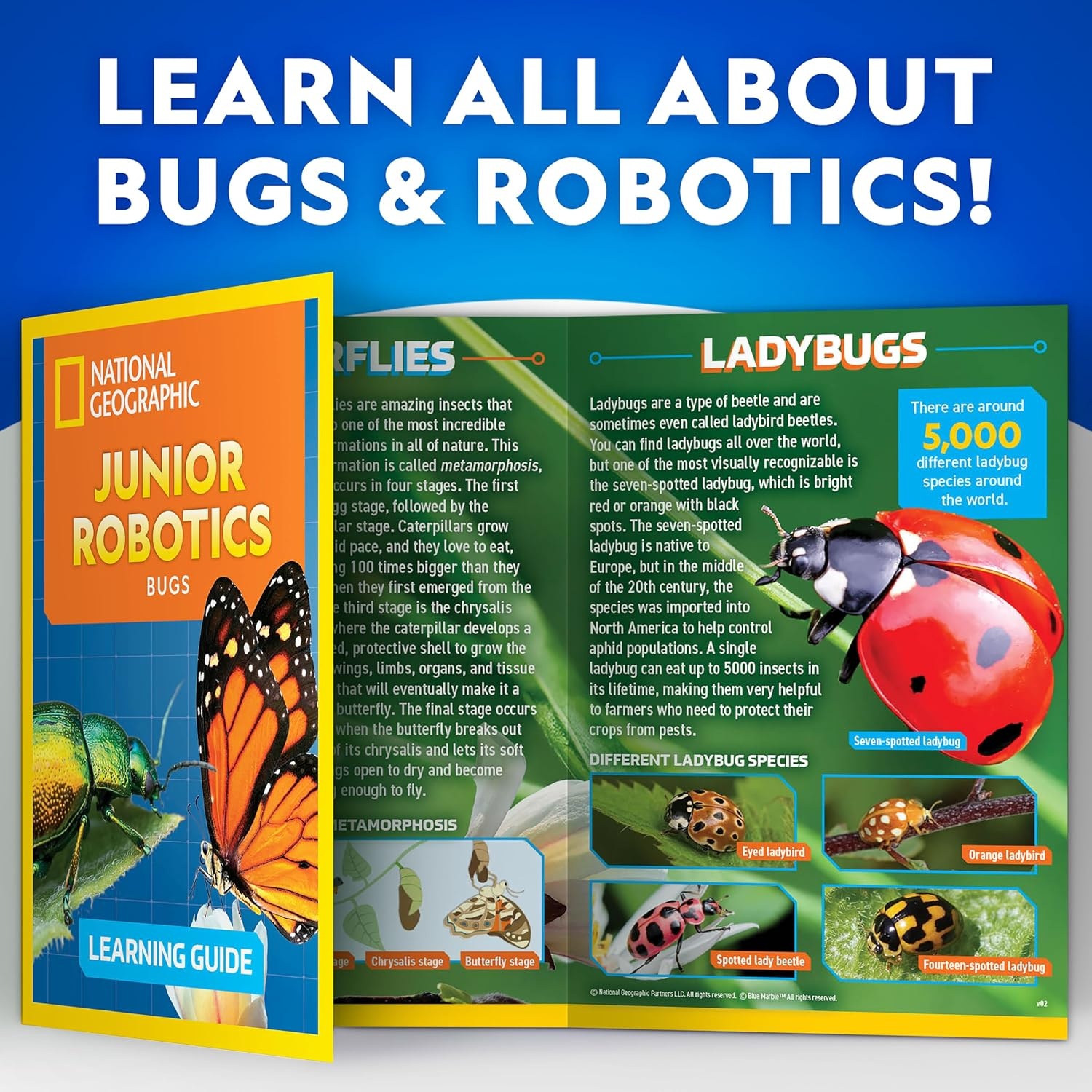 National Geographic Robotic Bug Engineering Science Kit for Kids