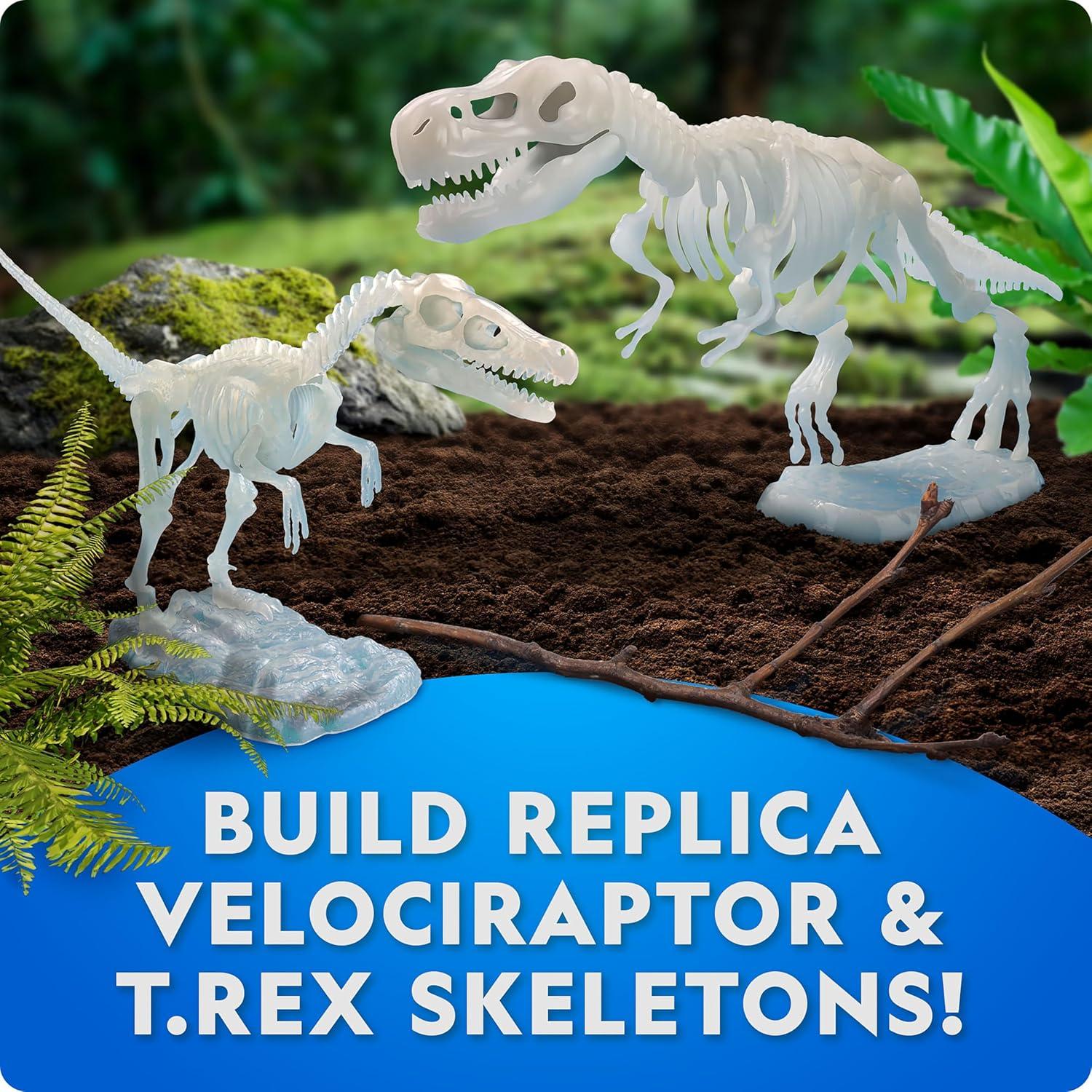 National Geographic Glow-in-The-Dark Dinosaur Skeleton Model Building Kit – Build Replica Velociraptor & T. rex Bones, Educational Dinosaur Egg Activity Kit, Fossils for Kids 5-7(Dinosaur Skeleton Models Kit)