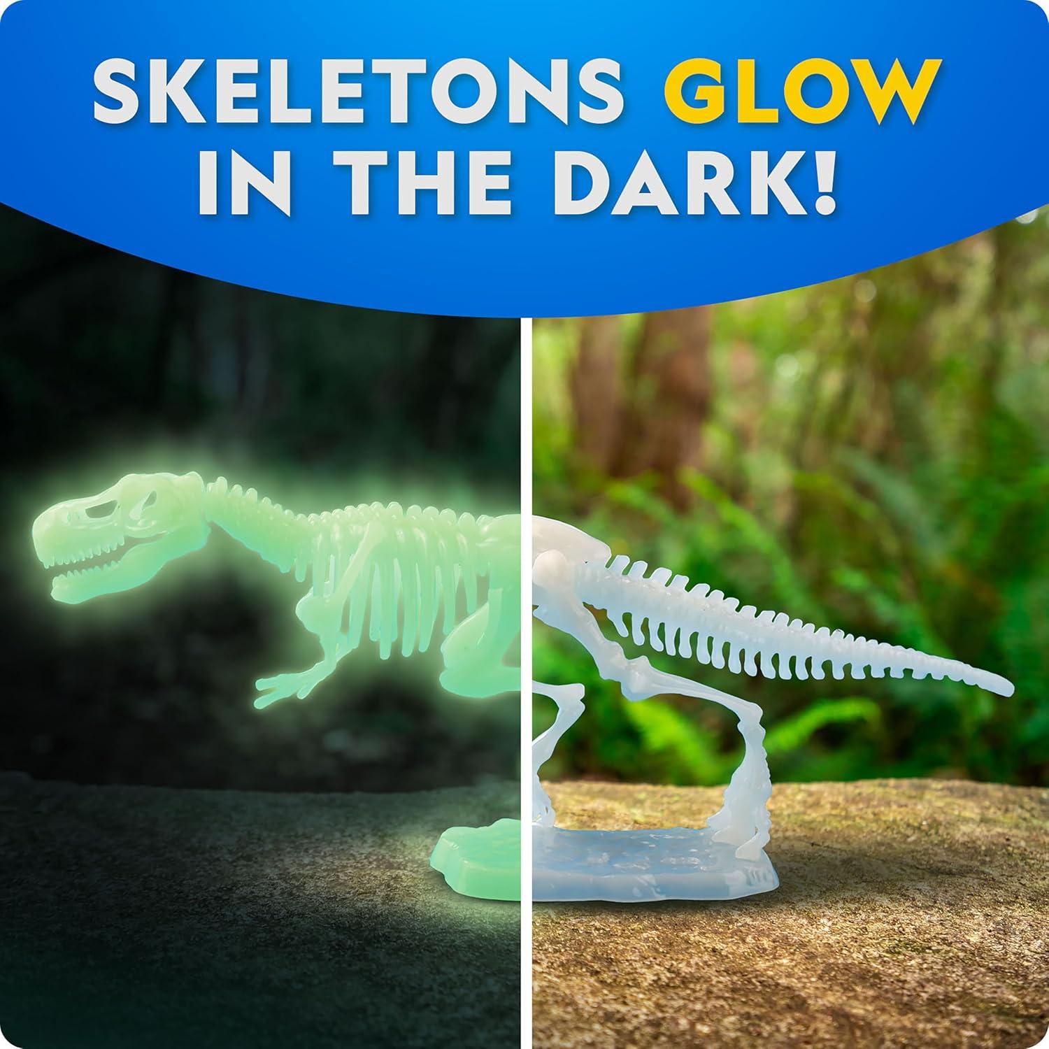 National Geographic Glow-in-The-Dark Dinosaur Skeleton Model Building Kit – Build Replica Velociraptor & T. rex Bones, Educational Dinosaur Egg Activity Kit, Fossils for Kids 5-7(Dinosaur Skeleton Models Kit)