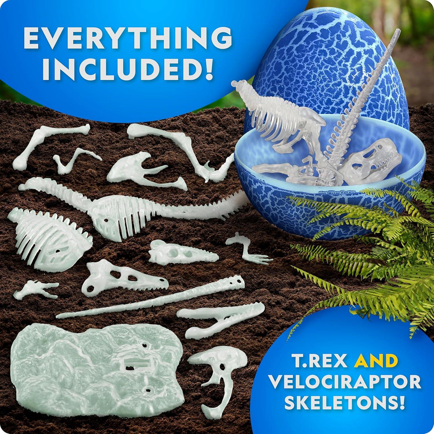 National Geographic Glow-in-The-Dark Dinosaur Skeleton Model Building Kit – Build Replica Velociraptor & T. rex Bones, Educational Dinosaur Egg Activity Kit, Fossils for Kids 5-7(Dinosaur Skeleton Models Kit)