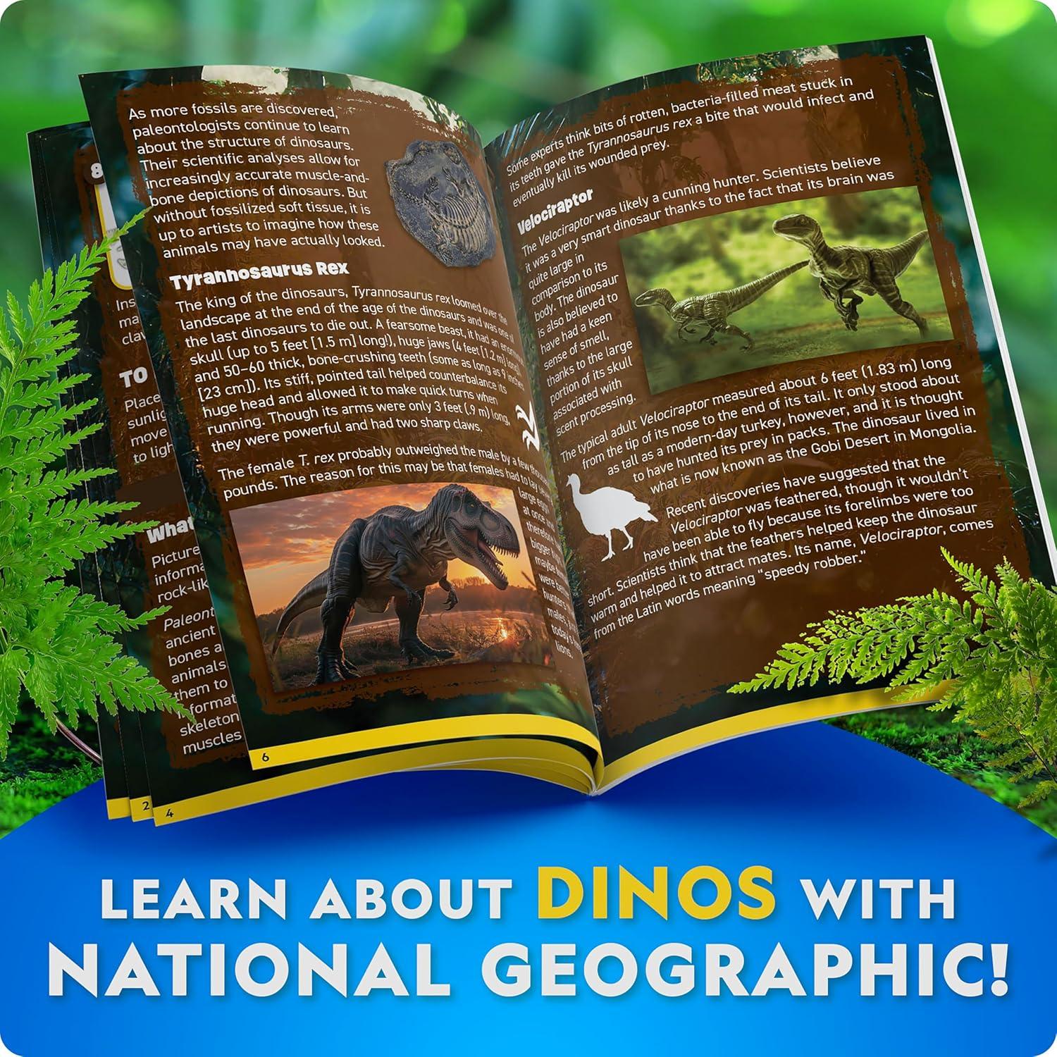 National Geographic Glow-in-The-Dark Dinosaur Skeleton Model Building Kit – Build Replica Velociraptor & T. rex Bones, Educational Dinosaur Egg Activity Kit, Fossils for Kids 5-7(Dinosaur Skeleton Models Kit)