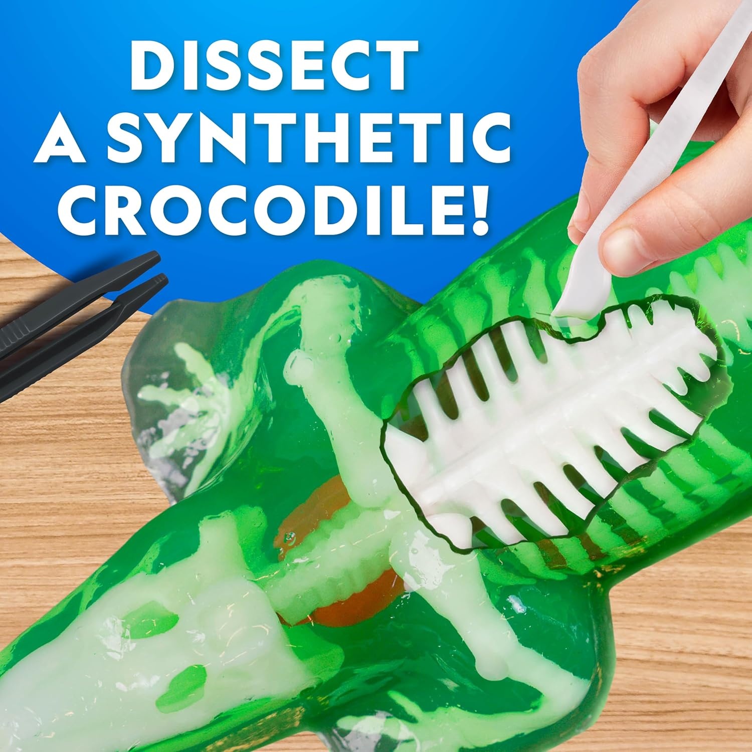National Geographic Mammoth Dissection Kit and Anatomy Lab for Kids(Crocodile Dissection Kit)
