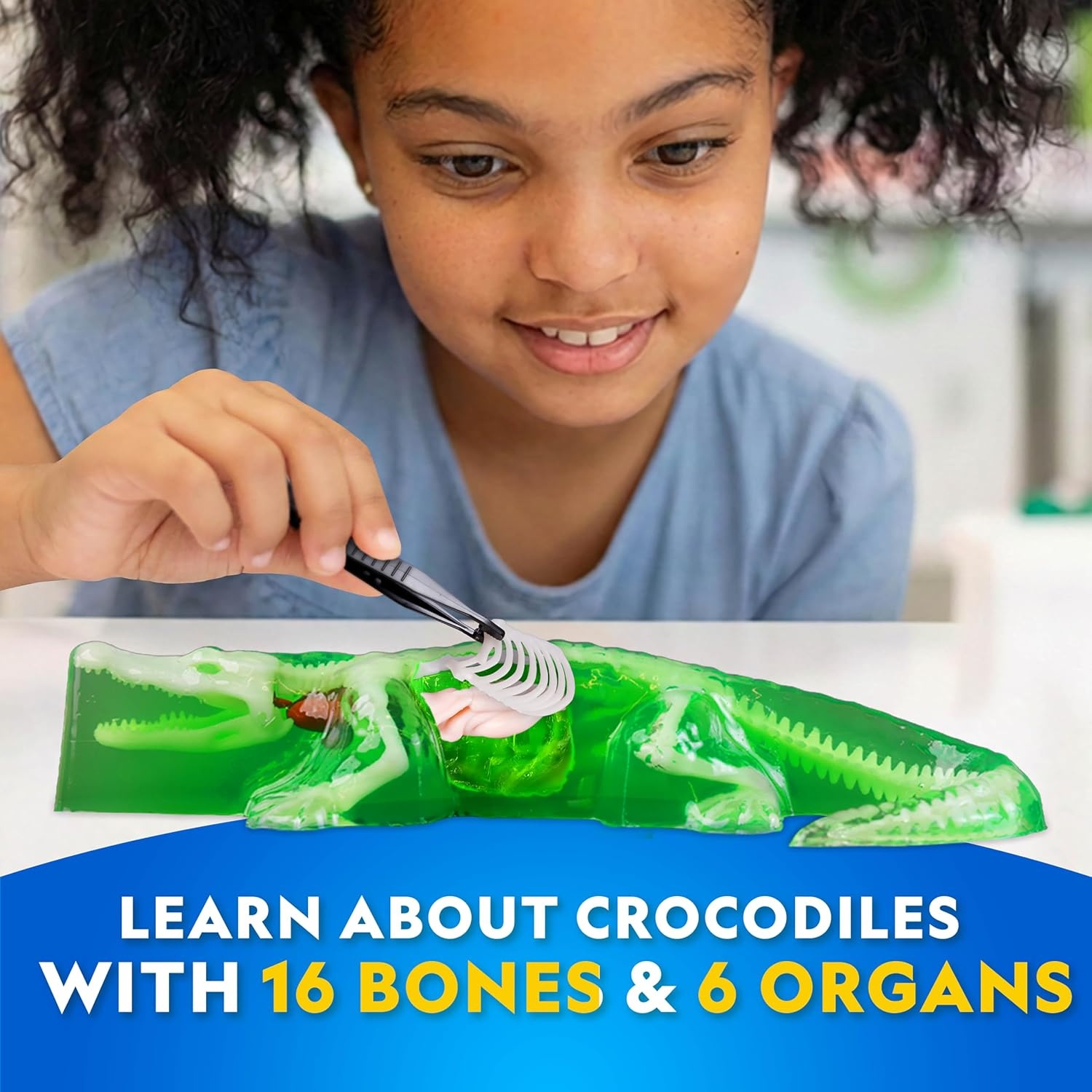 National Geographic Mammoth Dissection Kit and Anatomy Lab for Kids(Crocodile Dissection Kit)