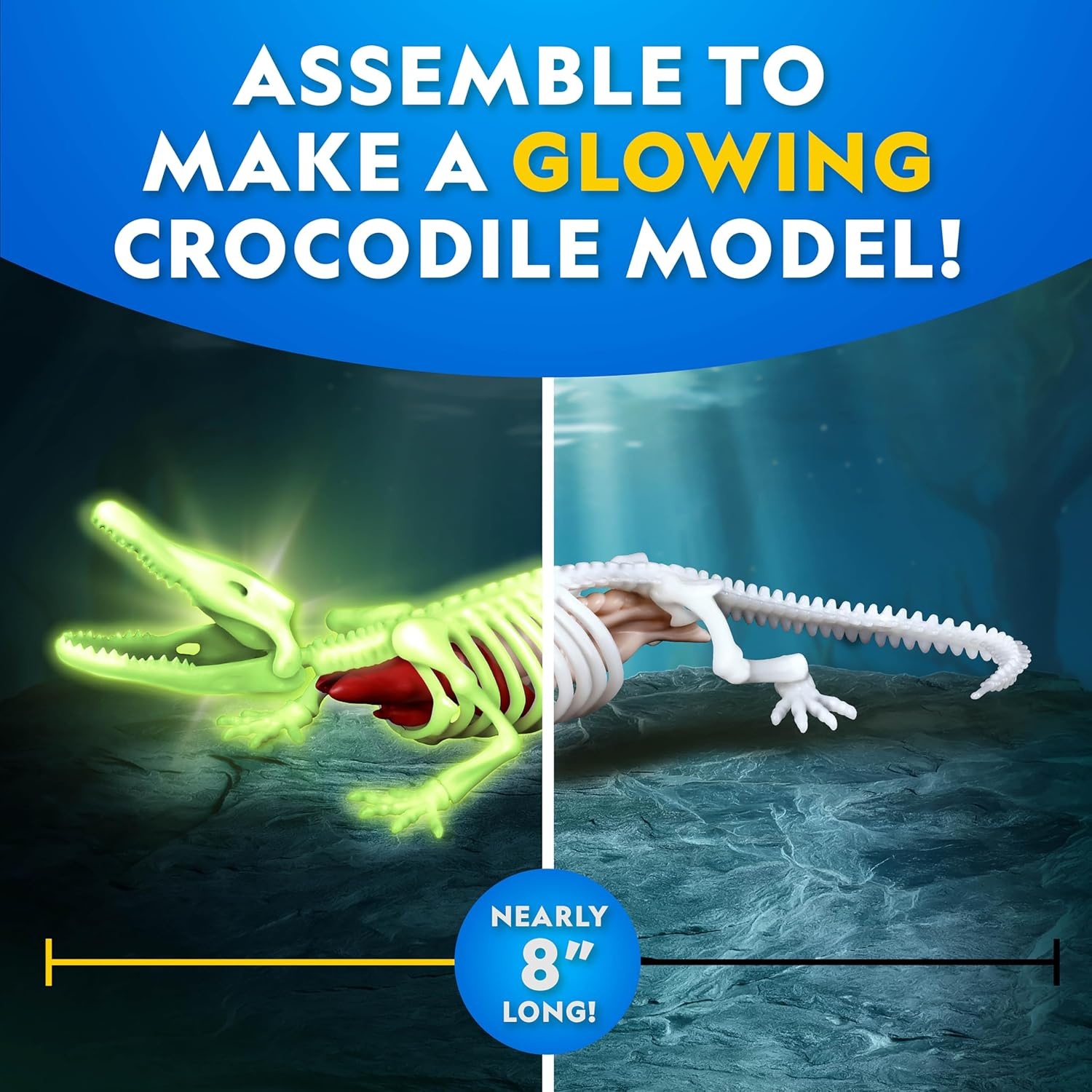 National Geographic Mammoth Dissection Kit and Anatomy Lab for Kids(Crocodile Dissection Kit)