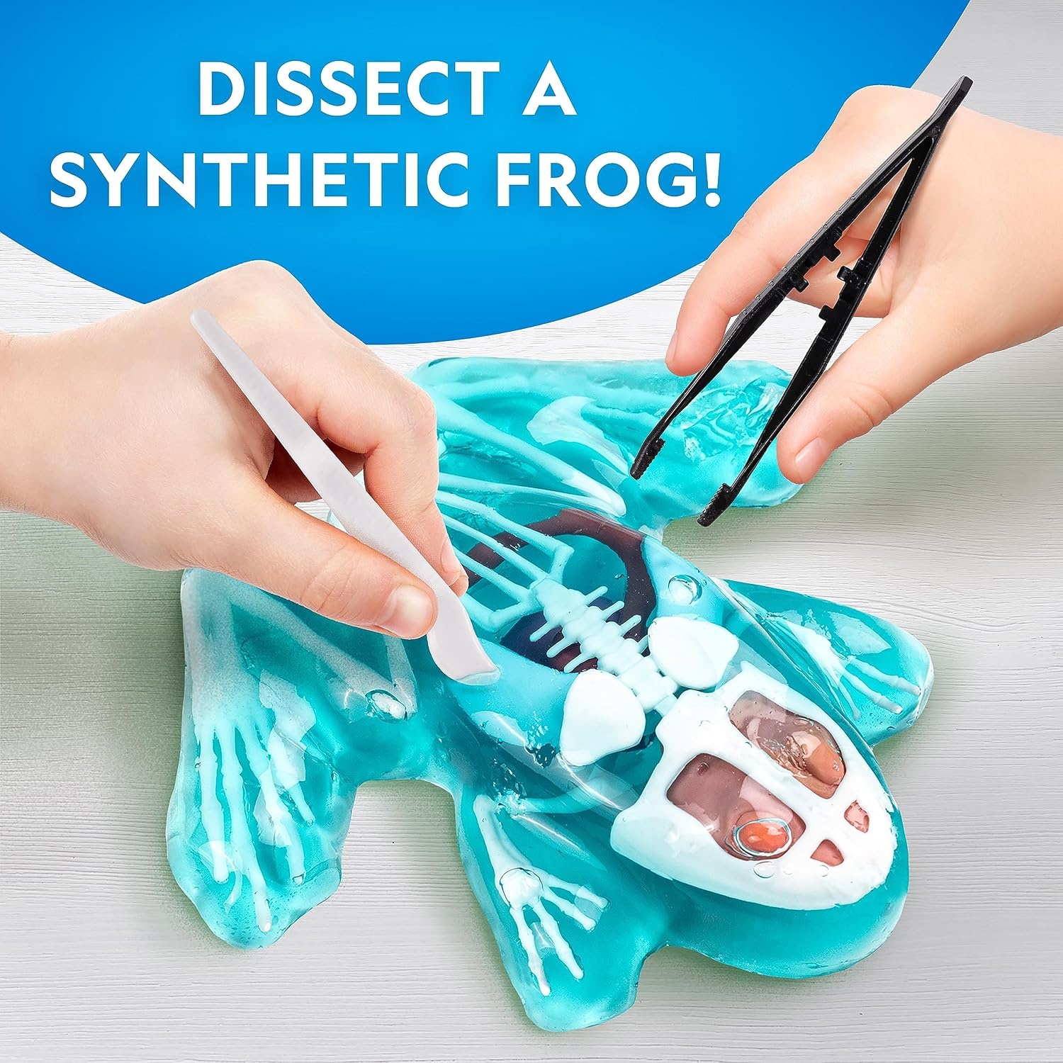 National Geographic Crocodile Dissection Kit – Glow in the Dark Crocodile Anatomy Lab with 16 Bones & 6 Organs, Refill Pack, Kid-Friendly Tools & Learning Guide(Frog Dissection Kit)