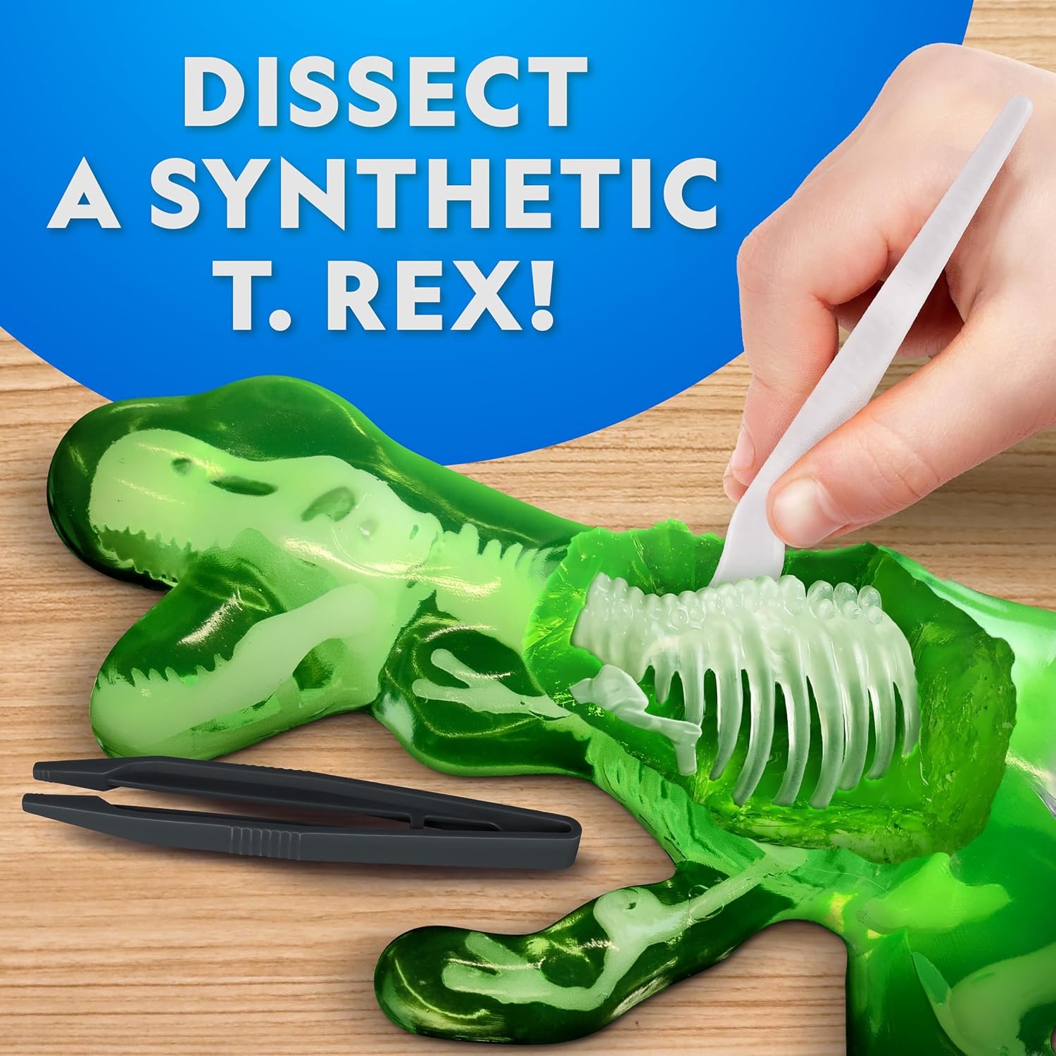 National Geographic Crocodile Dissection Kit – Glow in the Dark Crocodile Anatomy Lab with 16 Bones & 6 Organs, Refill Pack, Kid-Friendly Tools & Learning Guide(T. rex Dissection Kit)