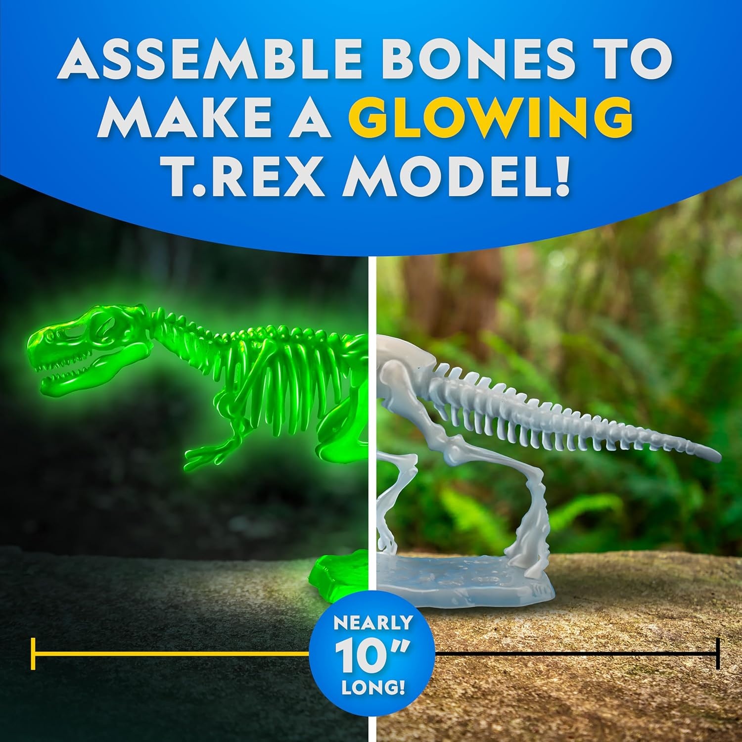 National Geographic Crocodile Dissection Kit – Glow in the Dark Crocodile Anatomy Lab with 16 Bones & 6 Organs, Refill Pack, Kid-Friendly Tools & Learning Guide(T. rex Dissection Kit)