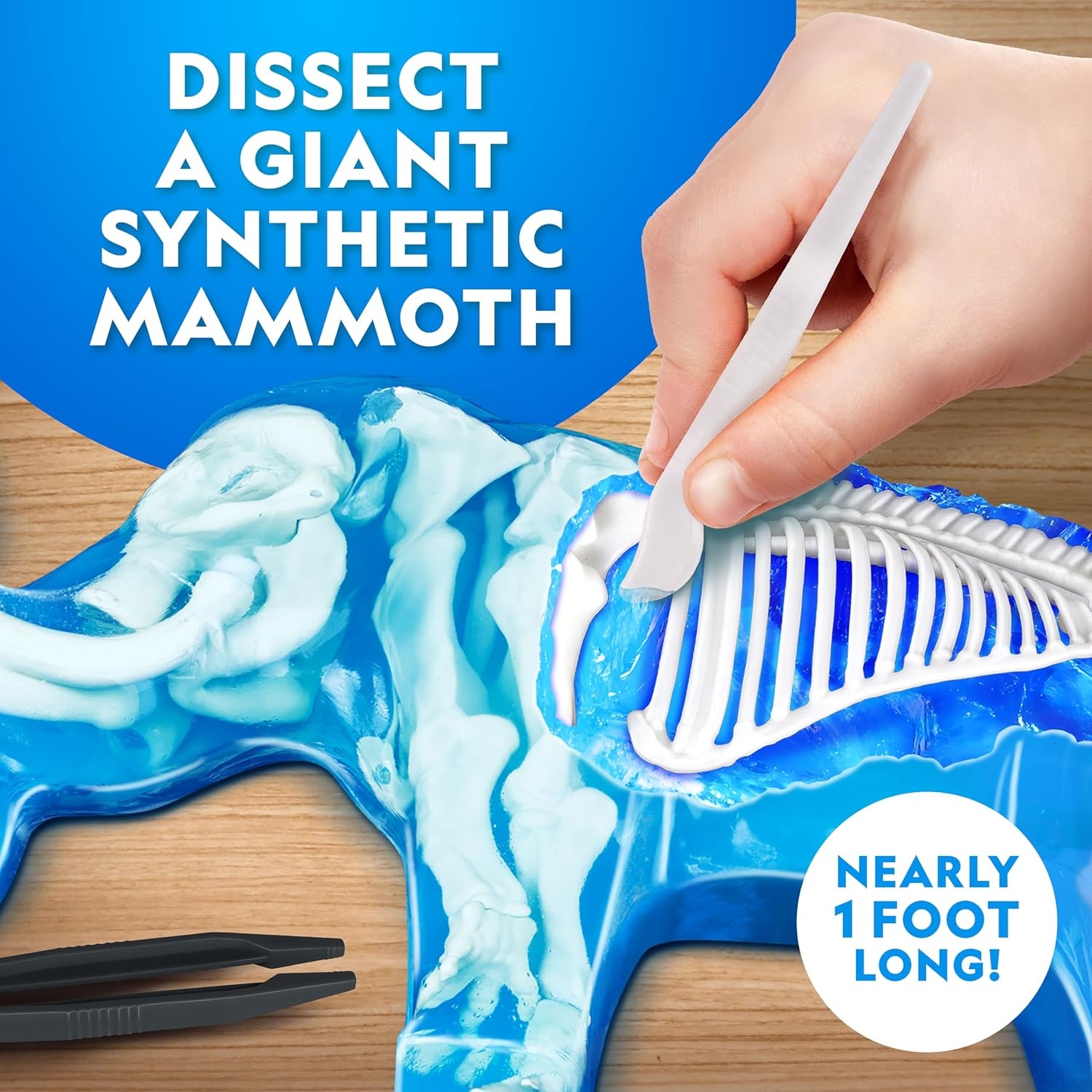 National Geographic Mammoth Dissection Kit and Anatomy Lab for Kids(Mammoth Dissection Kit)