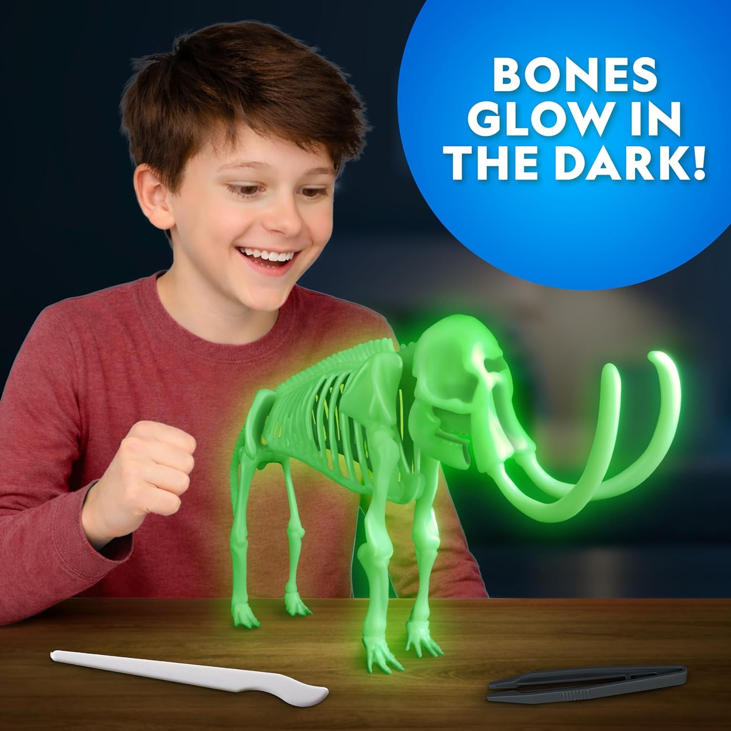 National Geographic Mammoth Dissection Kit and Anatomy Lab for Kids(Mammoth Dissection Kit)