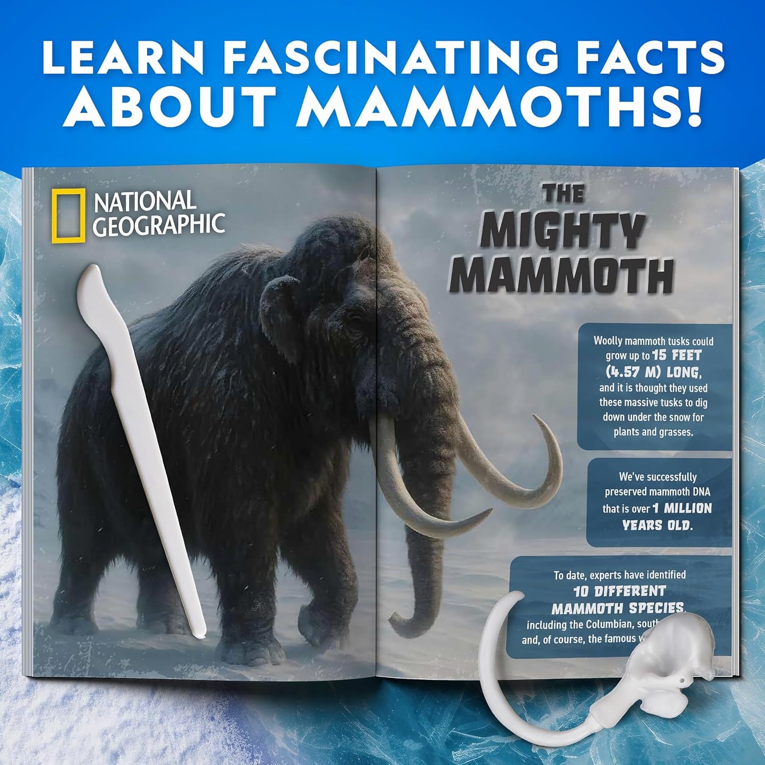 National Geographic Mammoth Dissection Kit and Anatomy Lab for Kids(Mammoth Dissection Kit)