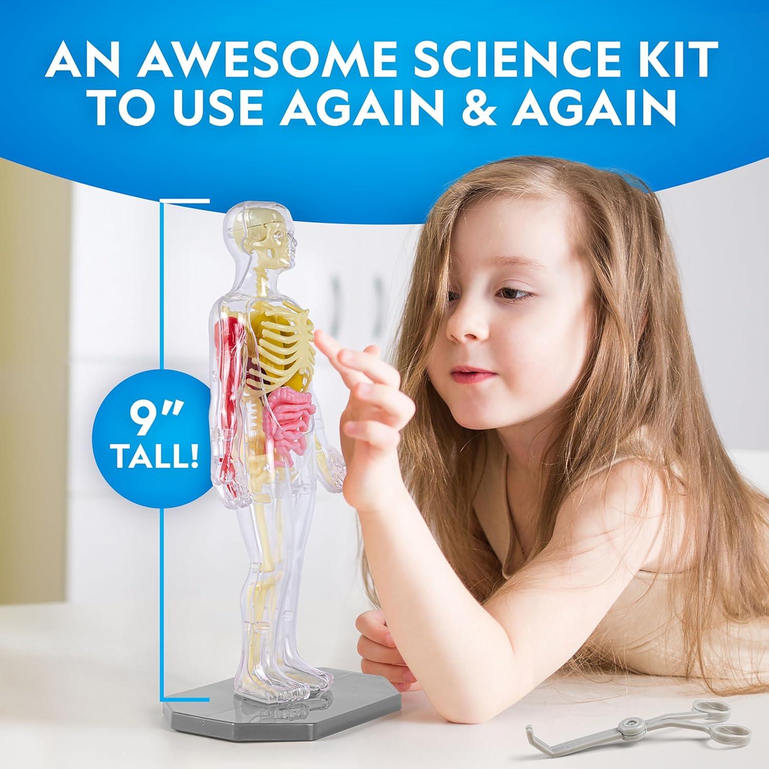 National Geographic Human Body Model for Kids That Glows in The Dark – 32-Piece Interactive Anatomy Model with Bones, Organs, Muscles, Science Kit Stocking Stuffer, Anatomy & Physiology Study Tools(32-Piece Anatomy Model)