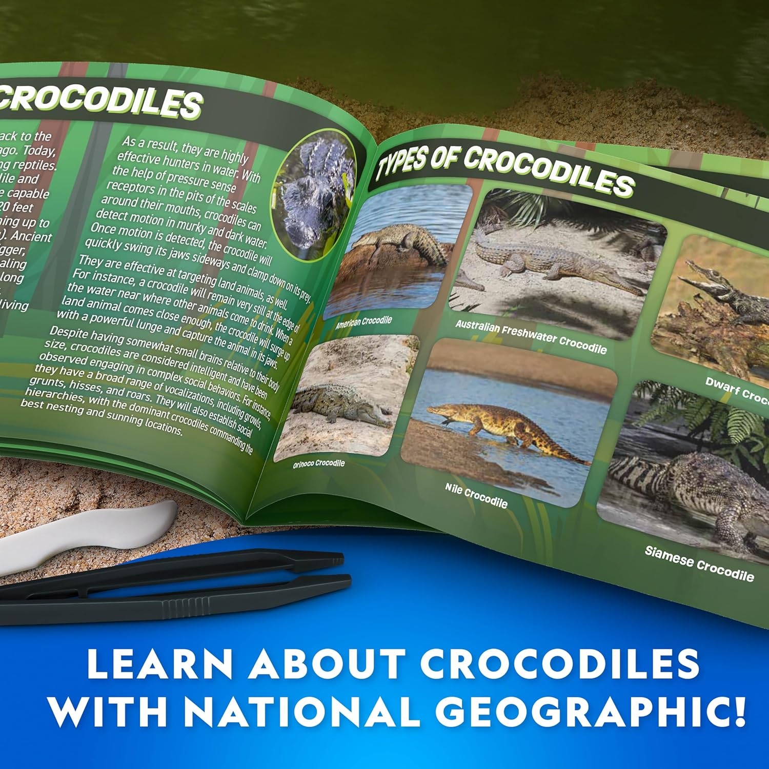 National Geographic Crocodile Dissection Kit – Glow in the Dark Crocodile Anatomy Lab with 16 Bones & 6 Organs, Refill Pack, Kid-Friendly Tools & Learning Guide(Crocodile Dissection Kit)