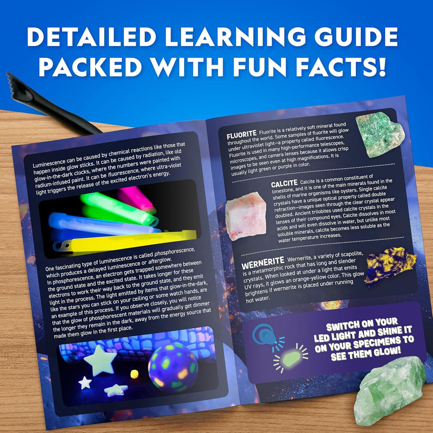 National Geographic Glow in The Dark Dig Kit – Excavate 6 Glow in The Dark Rocks & Dinosaurs from a Glowing Brick, Rock Collection, Science Kits for Kids, Rock Kit for Kids, STEM Kits, Dinosaur Toys