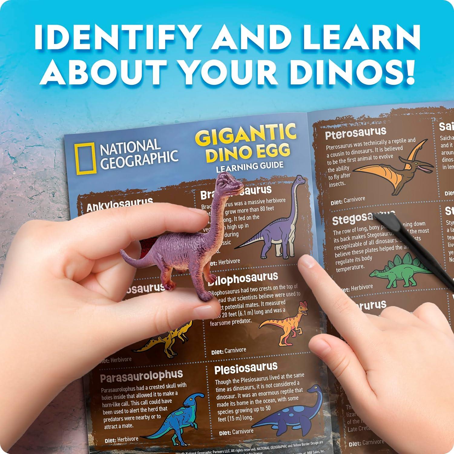 NATIONAL GEOGRAPHIC Jumbo Dinosaur Egg Dig Kit – Dig Out 12 Dino Figures & Replica T. Rex Tooth from Giant 6″ Egg, Dino Egg, Jumbo Egg, Dinosaur Egg Toys, Educational Science Kits(Jumbo Dino Egg Dig Brick)