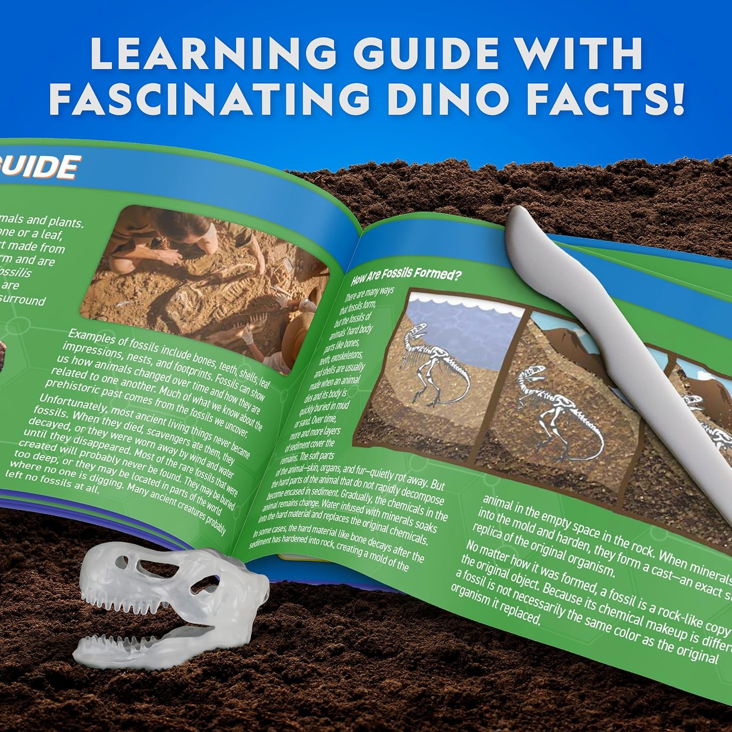 National Geographic Mammoth Dissection Kit and Anatomy Lab for Kids(T. Rex Dissection Kit)